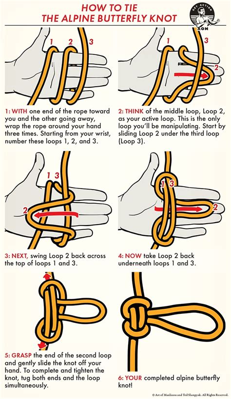 bowknot|alpine butterfly bowline knot.